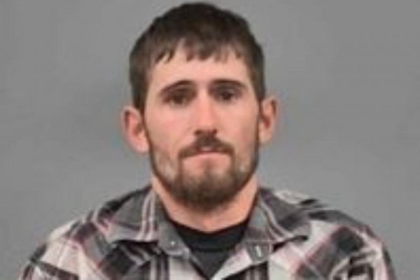 Natural fawn killer: US judge sentences deer poacher to repeatedly watch Bambi