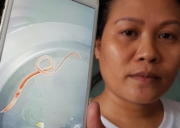 Worm in water supply prompts HDB tank cleaning in Ang Mo Kio