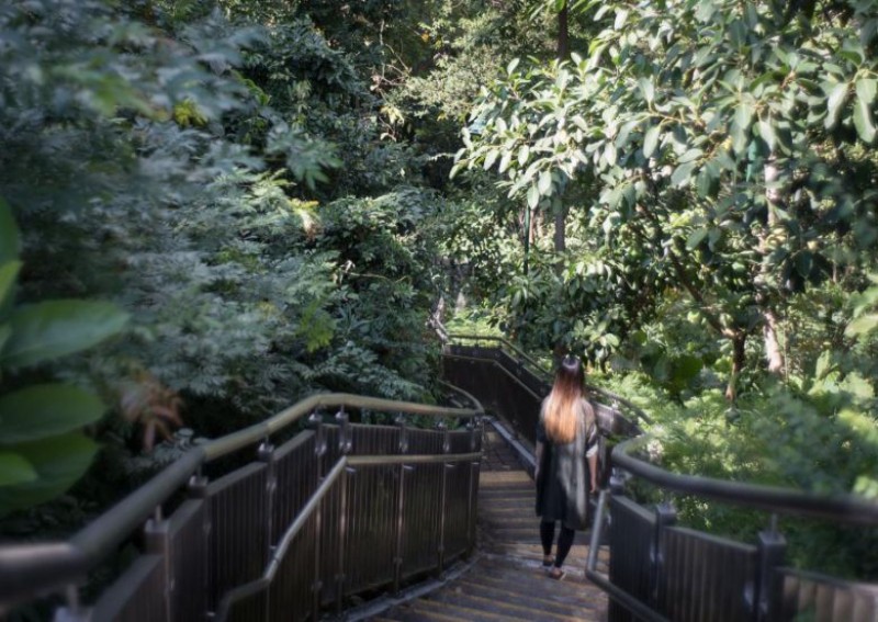 Wedding bells on hold for Hong Kong protester, policeman