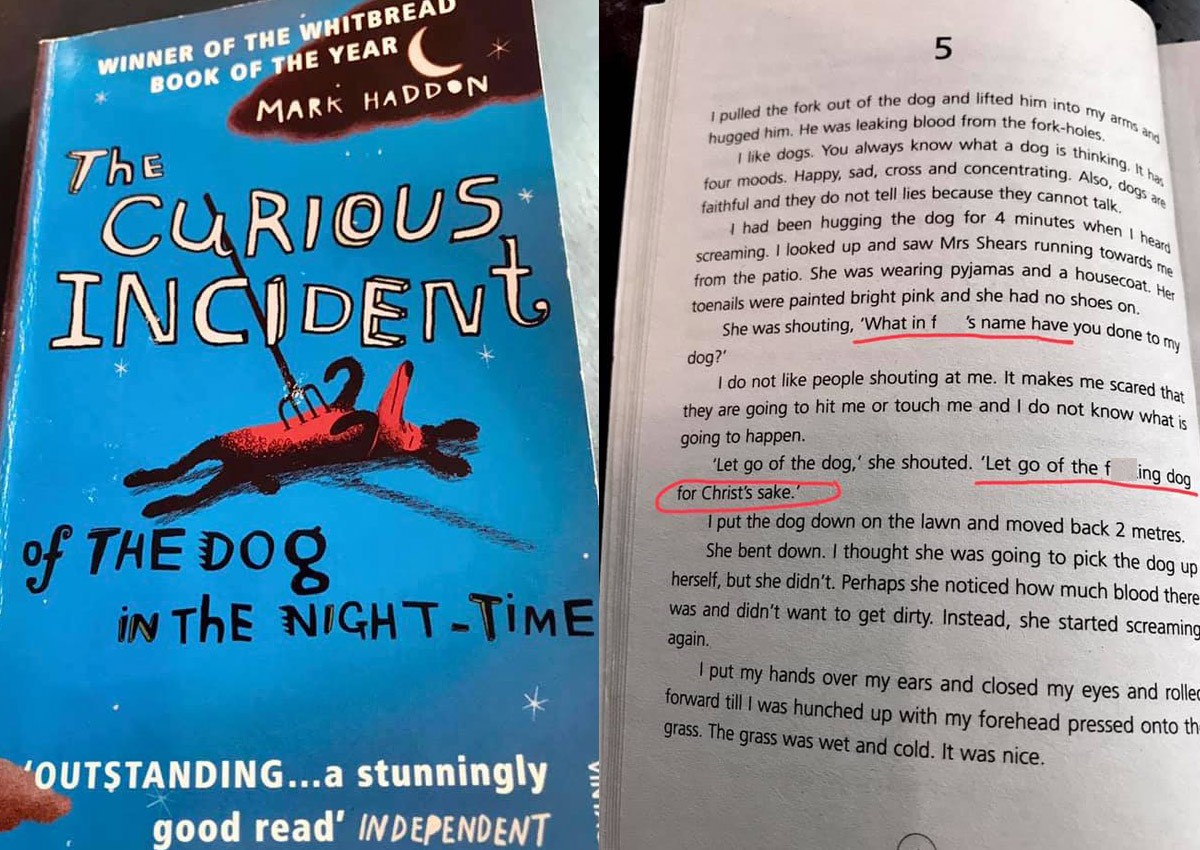 Book containing swear words chosen by secondary school for 'literary merit': MOE