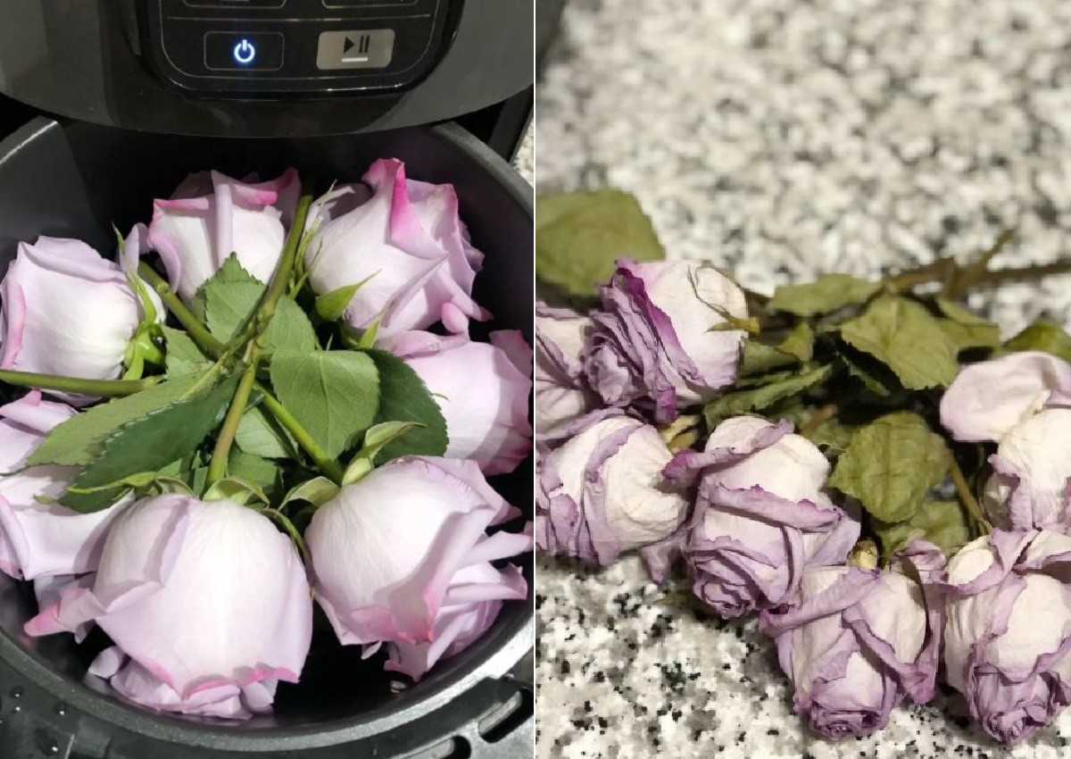 Want to preserve your flowers? Try this Xiaohongshu air fryer hack 