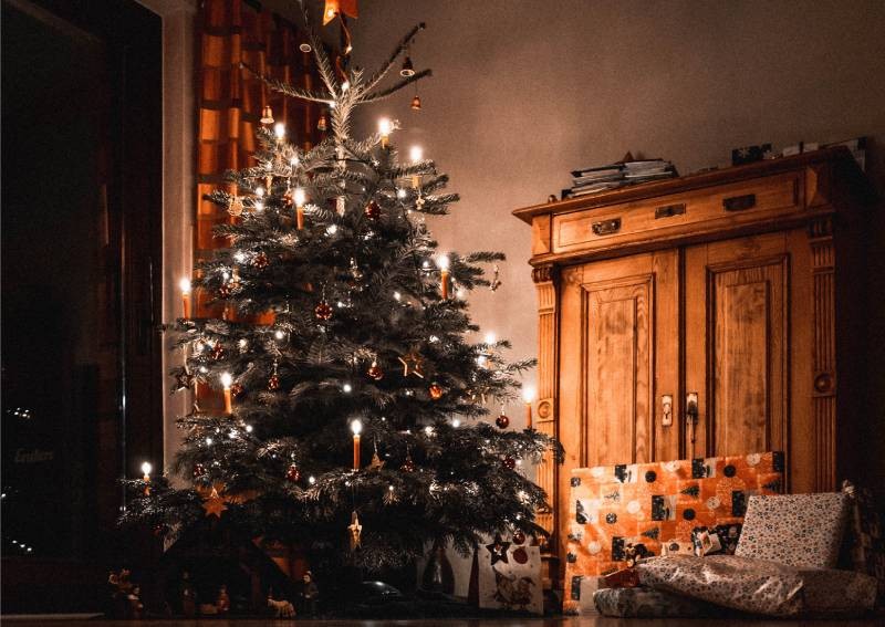 Christmas trees Singapore: 9 places to buy live trees & how much they cost (December 2021)