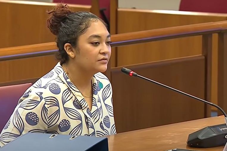 WP members rocked by allegations at Parliament committee, lines drawn