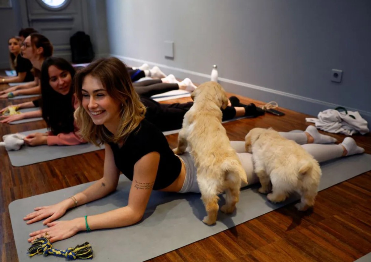 Parisians combine yoga with puppy cuddles for ultimate relaxation