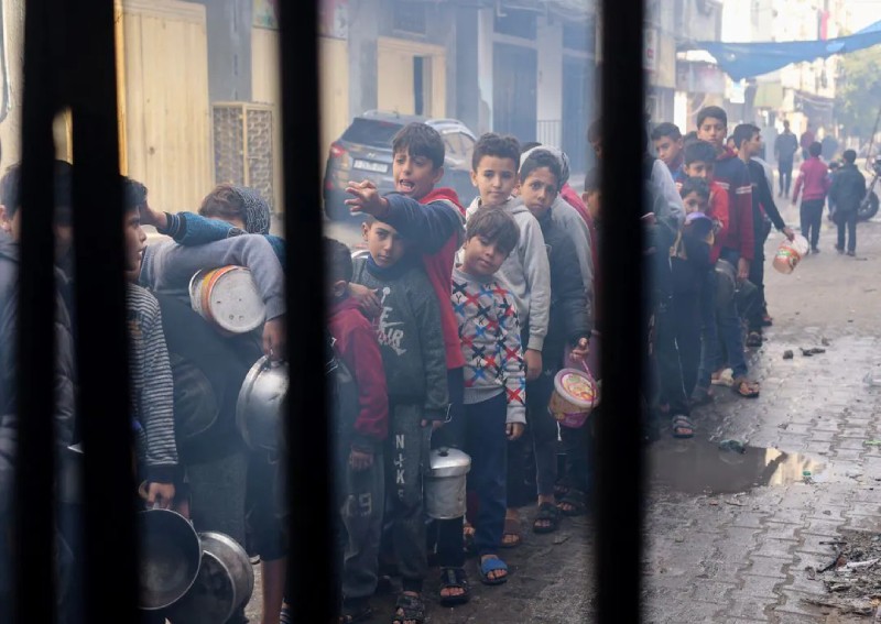 Gaza families beg for bread, eat donkey meat as aid deliveries falter