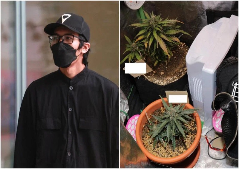 Man who imported cannabis candy and grew plant at home becomes first person convicted