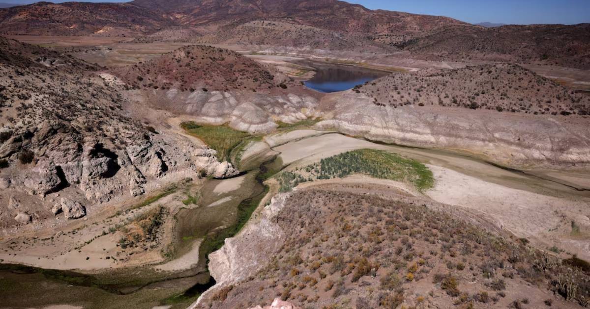 UN calls for $3.5 trillion investment to reverse land degradation