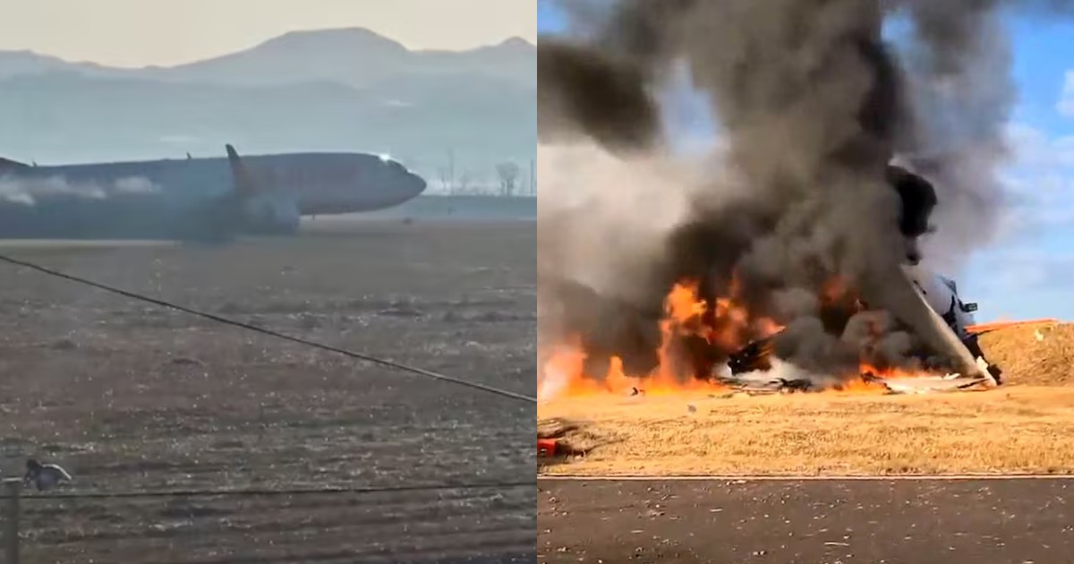 Experts question bird strike as cause of deadly Jeju Air crash