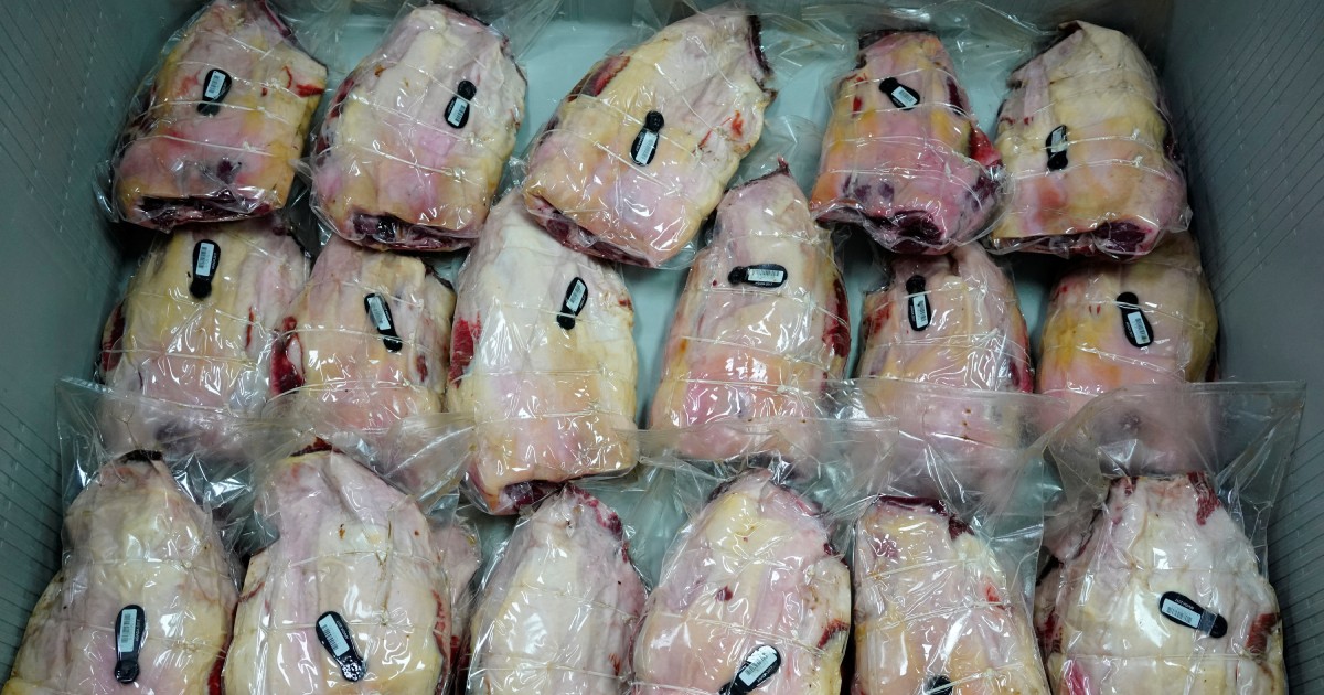 8 more suspected swine fever cases as Spain struggles to limit export damage