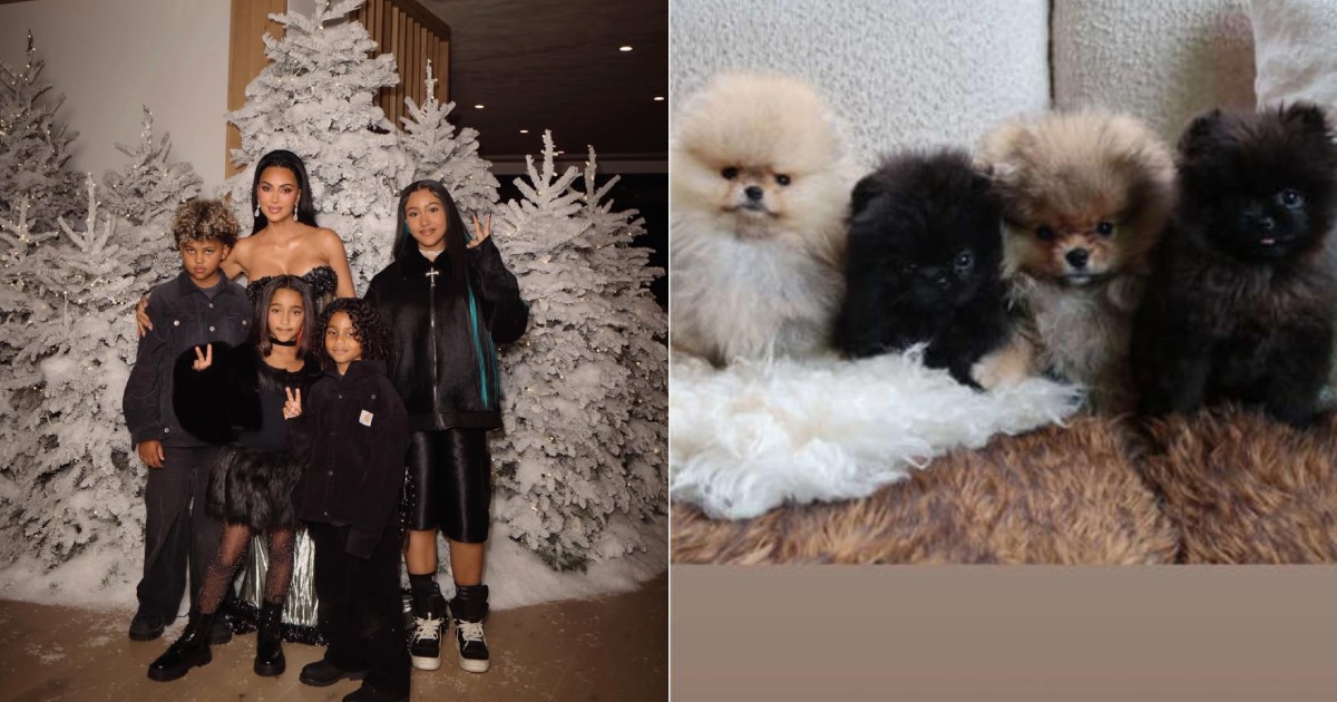 Peta criticises Kim Kardashian for buying her children puppies for Christmas