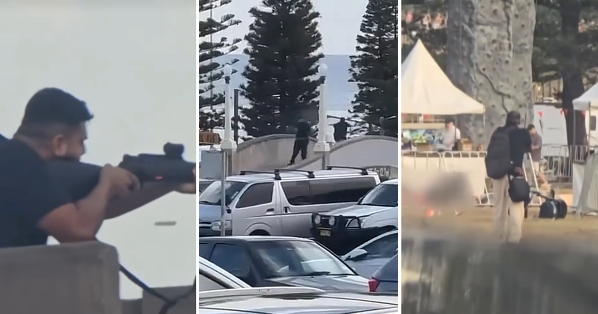 world Father and son behind Bondi Hanukkah festival shooting that killed 15, Australian police say