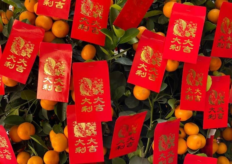 Daily roundup: Here's why you should eat these super auspicious CNY foods - and other top stories today