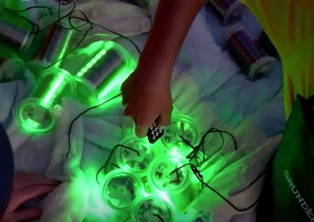 Lighted fishing nets may save sharks, sea turtles from accidental entrapment