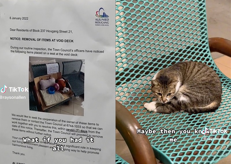 'Seats are for humans': Resident's complaint about town council removing cat's shelter divides netizens