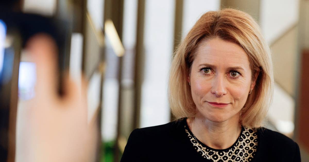 Transatlantic trade war would hurt both sides, European leaders warn