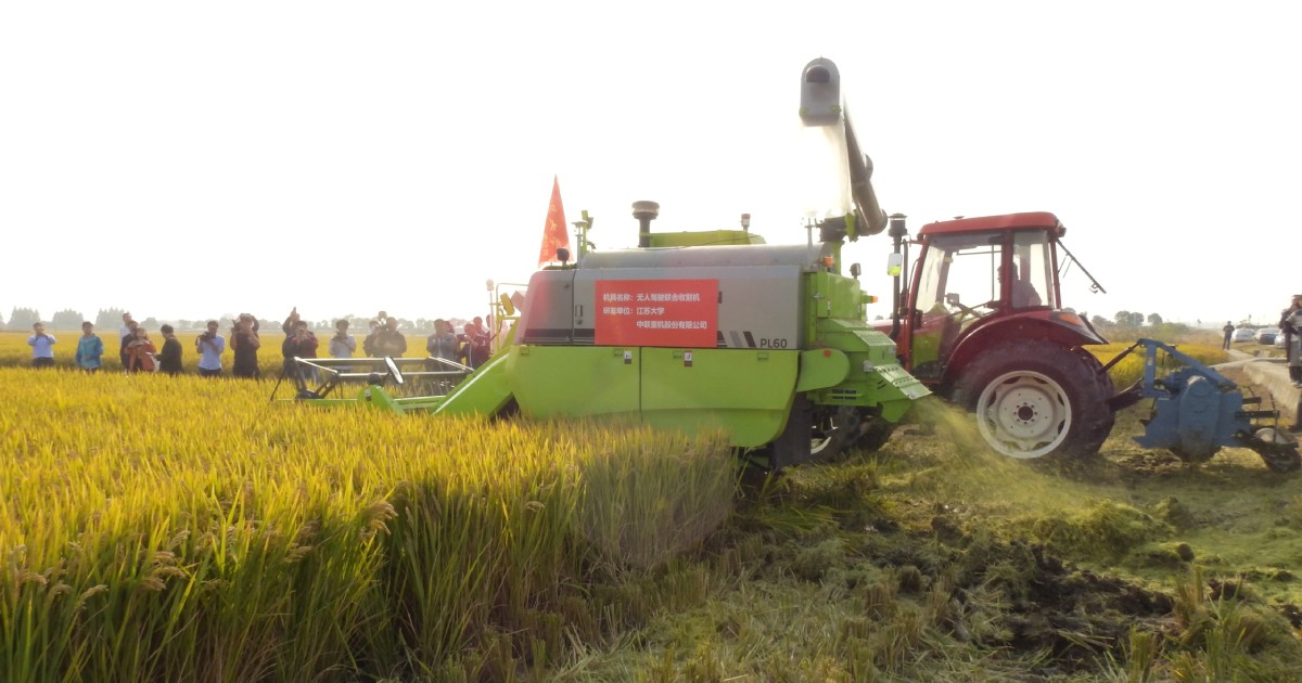 China's 'No. 1 document' pushes grain security, agri-tech innovation