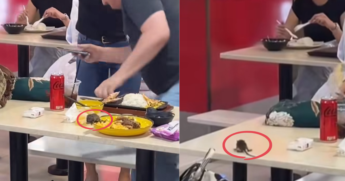 'Mickey is on tour': Rat interrupts diners at Lucky Plaza food court