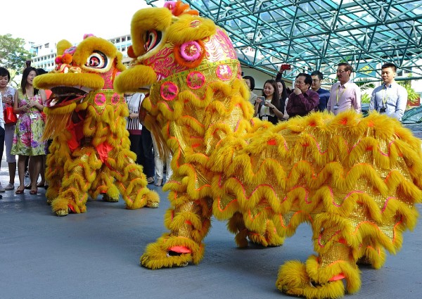 4 ways to celebrate a socially conscious Chinese New Year