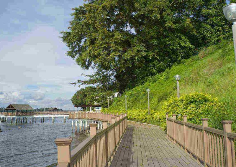 Best hiking trails in Singapore: 4 must-try walks to start your fitness resolutions