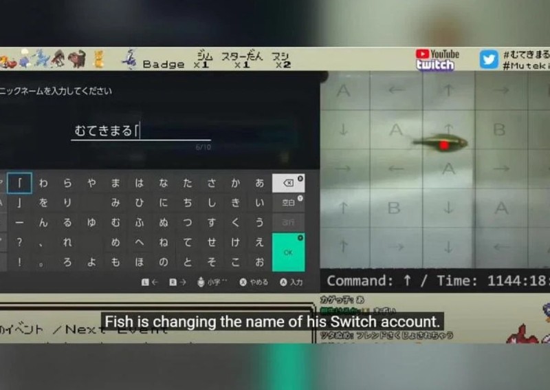Fishy or not? Pet tetra in Japan racks up credit card bill on owner's Nintendo Switch
