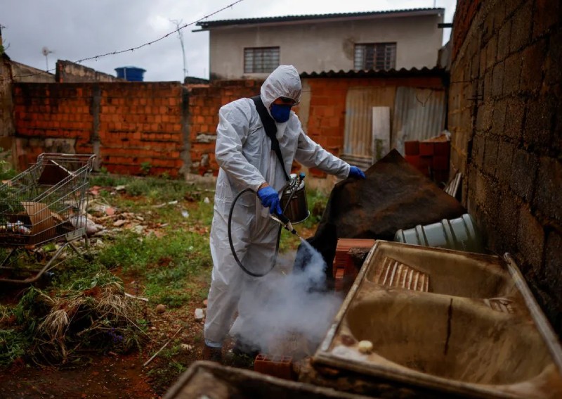 South America dengue spike prompts vaccination drive as bug spray runs out