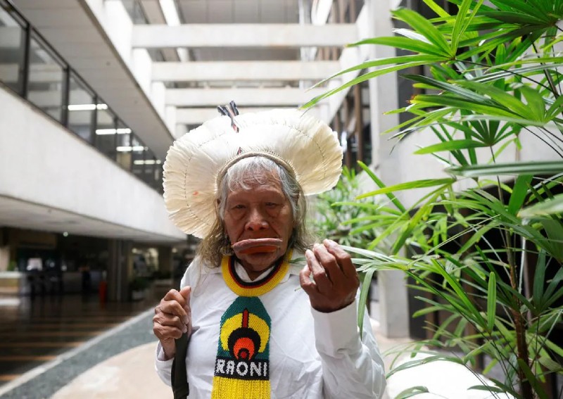 Amazon Indigenous leaders promote reforestation for degraded forest lands