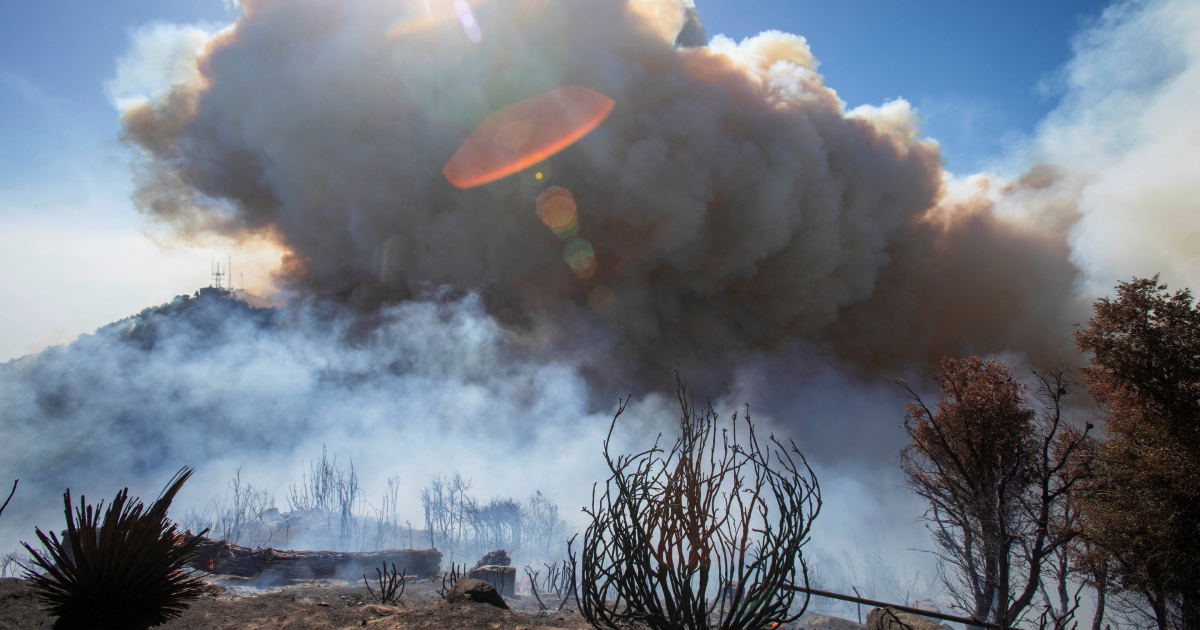 Los Angeles wildfires devour thousands of homes even as fierce winds ease
