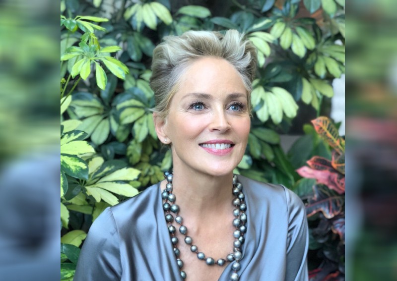 Sharon Stone thinks her reputation for being 'difficult' has damaged her career