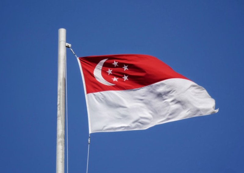 Ultimate guide to National Day Parade 2021