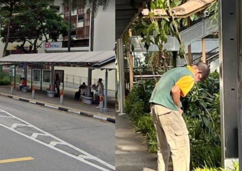 'Totally unacceptable': Man pees in grass near bus stop, public toilet only metres away