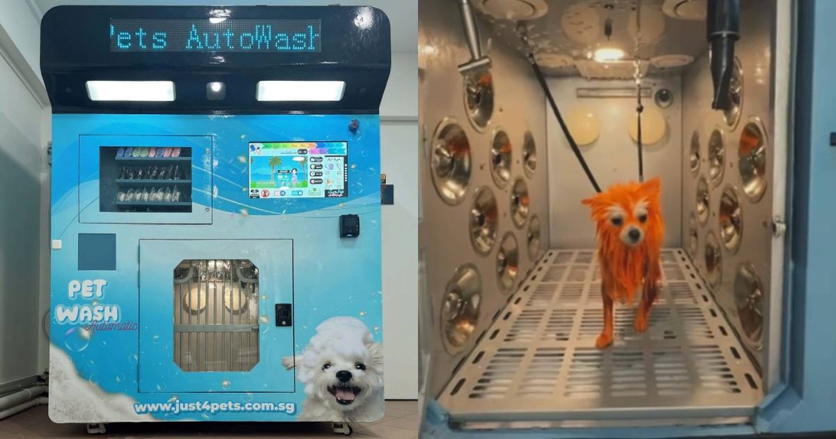 NParks tells Holland Drive auto pet wash operator to cease use of machine