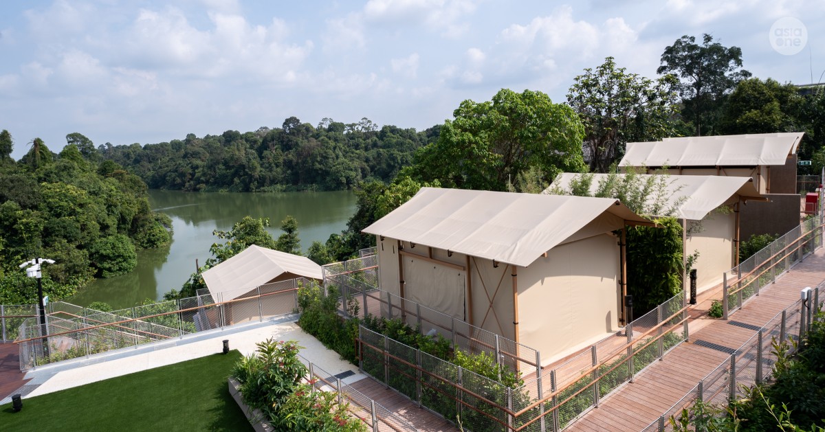 New glamping experience in Mandai starts in August, here's what Colugo Camp has to offer