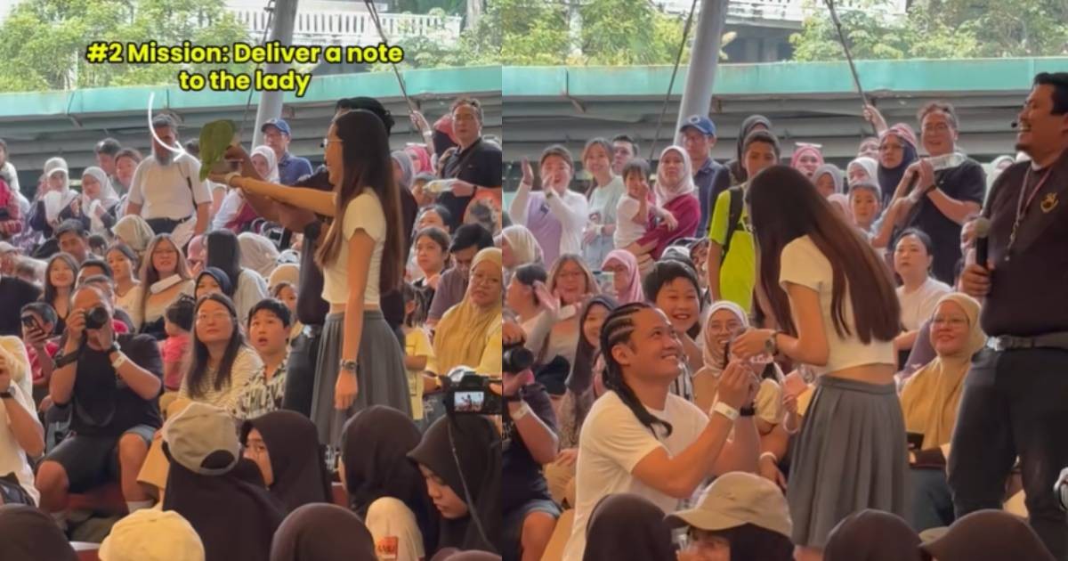 'So wholesome': Netizens coo over viral video of parrot delivering proposal note at Malaysia zoo