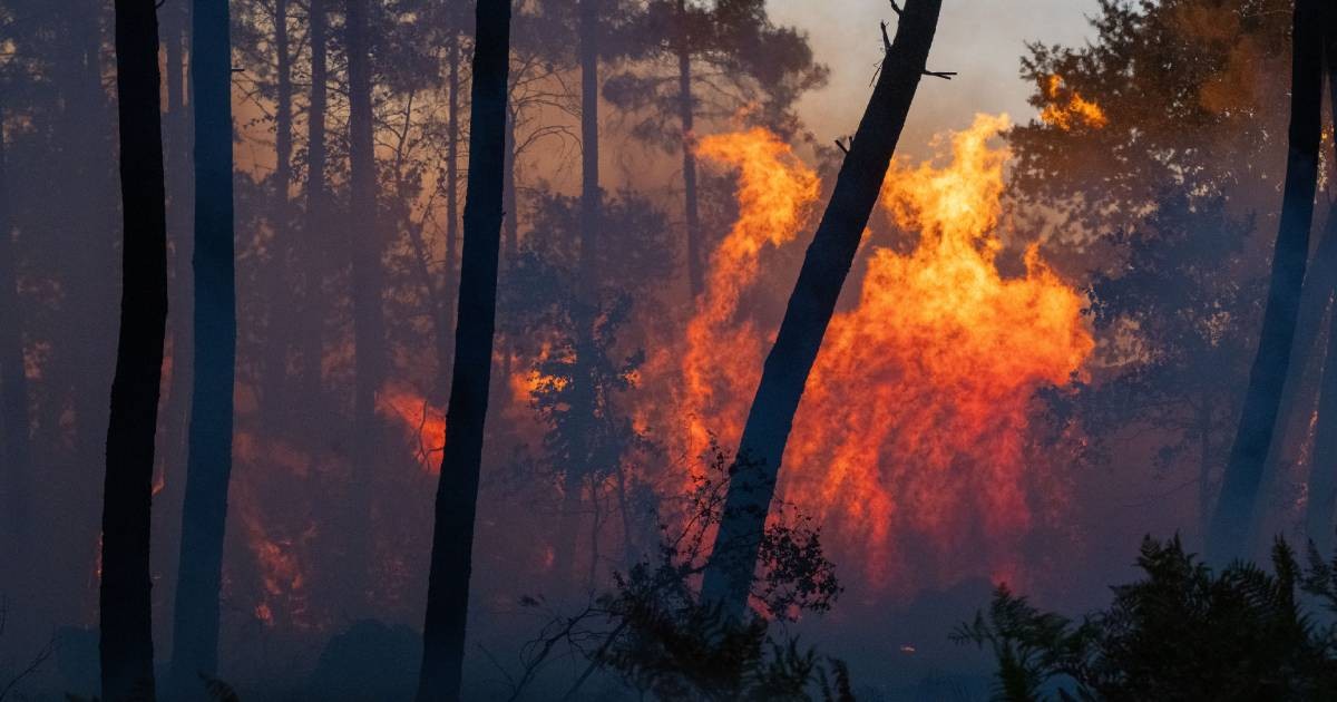 Spain declares an emergency after wildfires force evacuations of 10,000 people