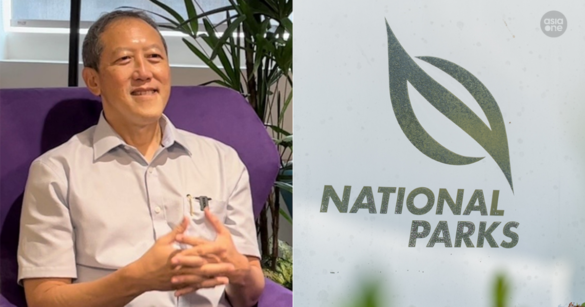 Chew Hock Yong, former permanent secretary for home affairs development, named new NParks chairman