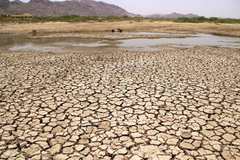 India heatwave sends temperatures soaring to over 50 deg C