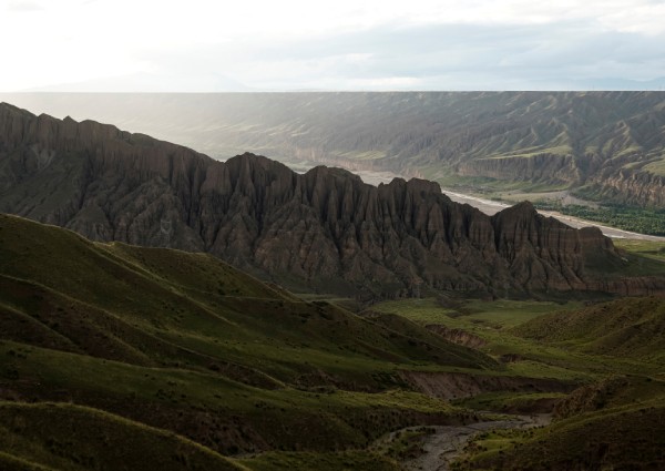 As Chinese mountains get hotter, hunt for 'cure-all' fungus gets harder