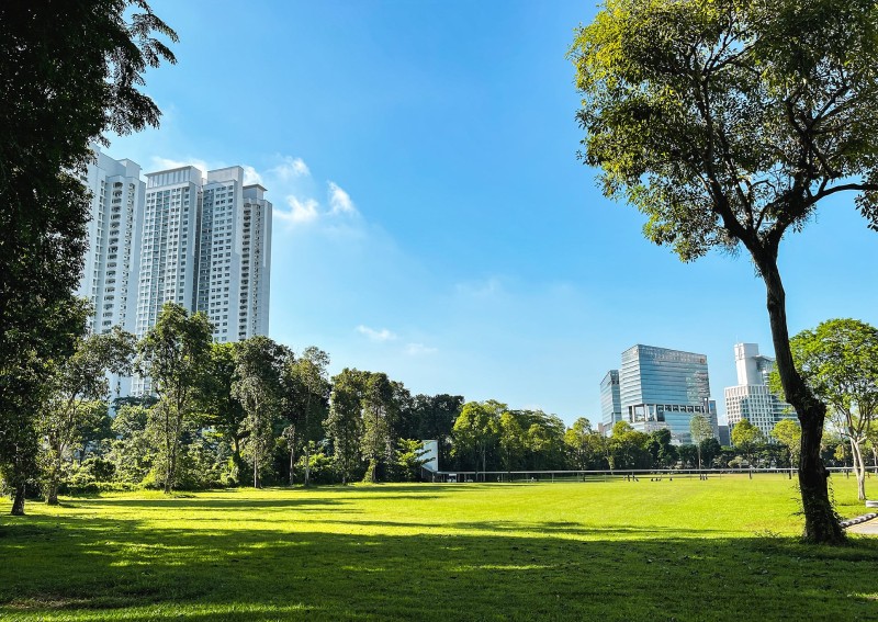 4 government land sales sites worth paying attention to in 2021