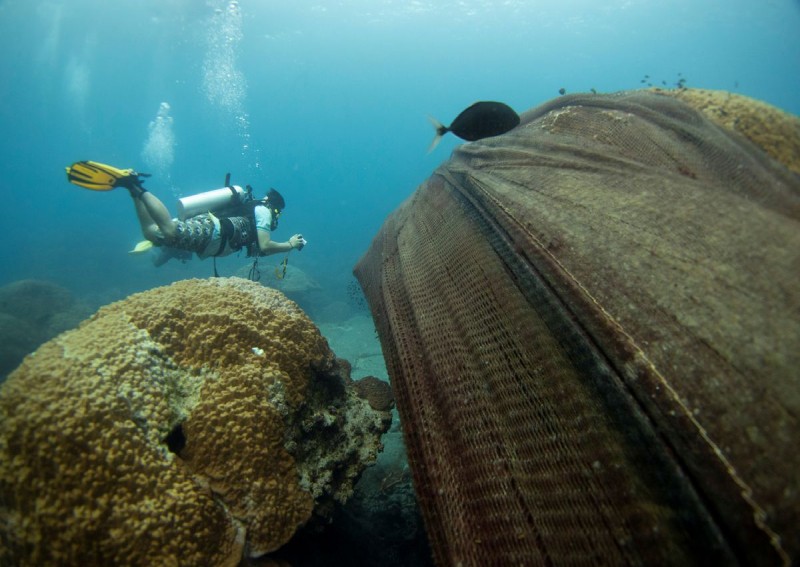 Thai divers remove fishing nets bleaching protected coral reefs