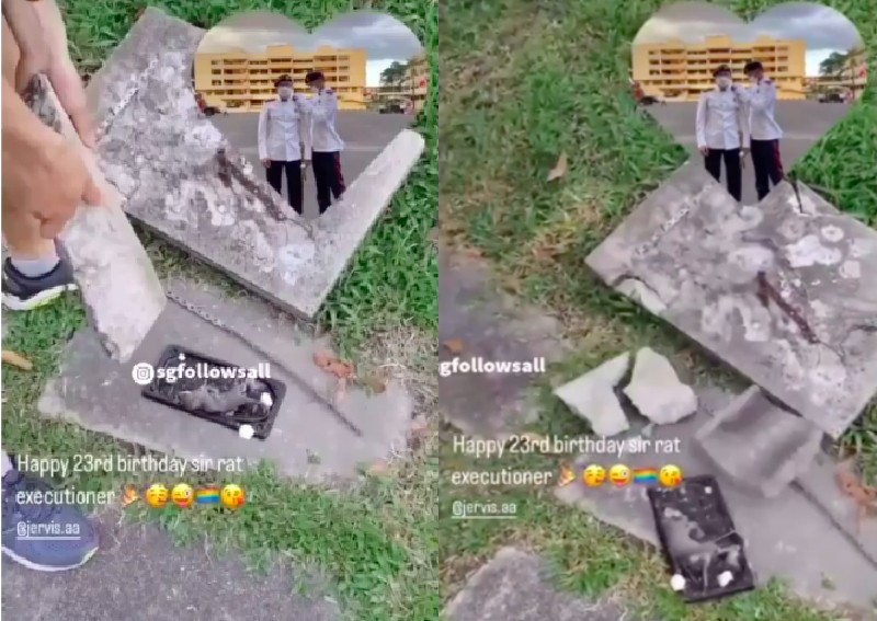 Caught in the act: Men smashing rodent with concrete block sparks online anger