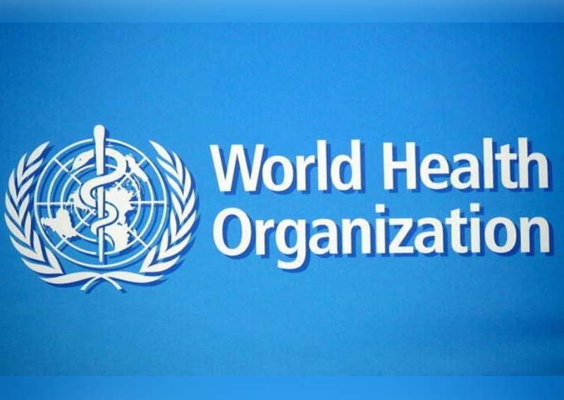 Pandemic's origins obscured by lack of Chinese data: WHO panel