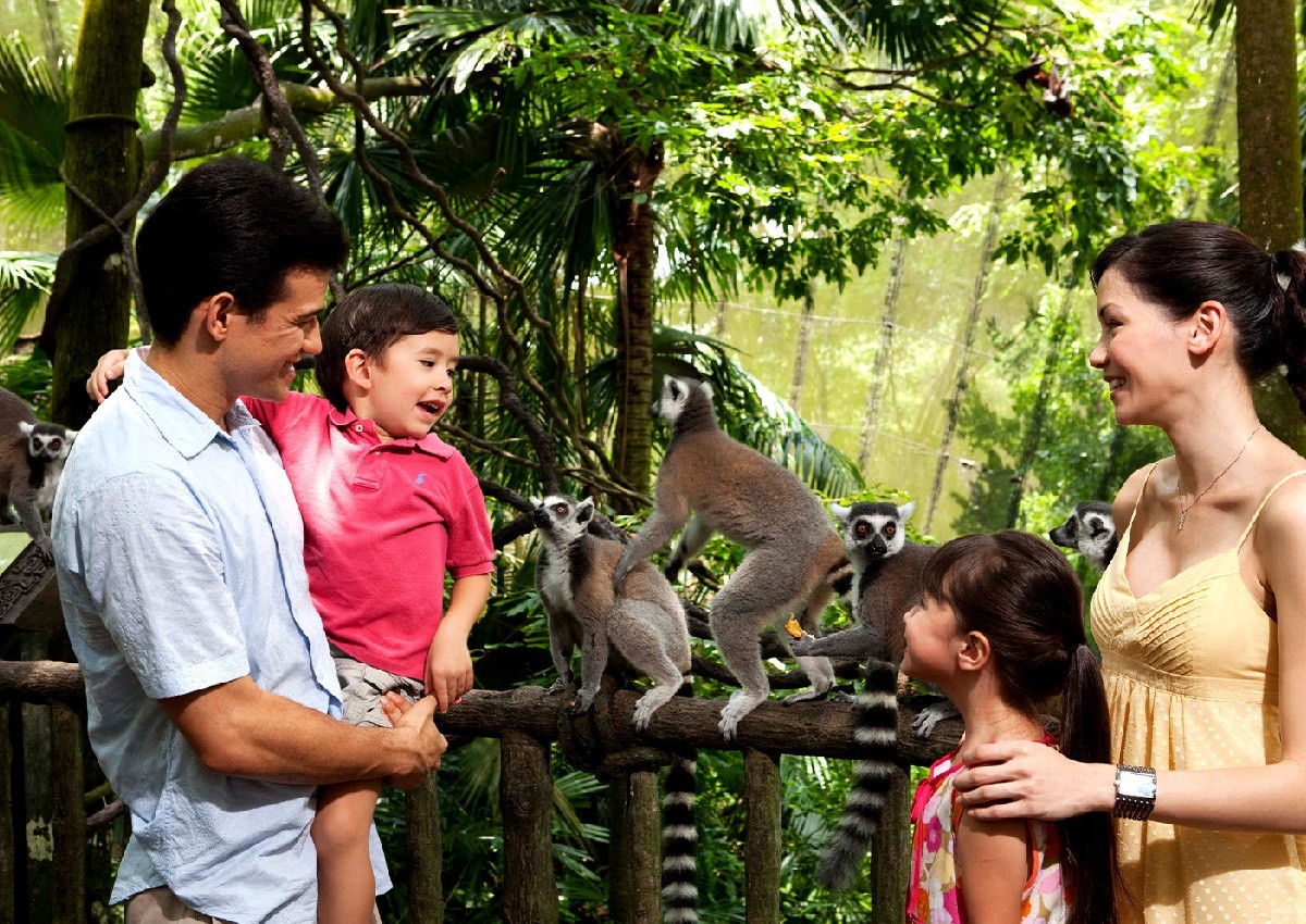 Roaring into 50: Singapore Zoo celebrates its Golden 'Zoobilee'