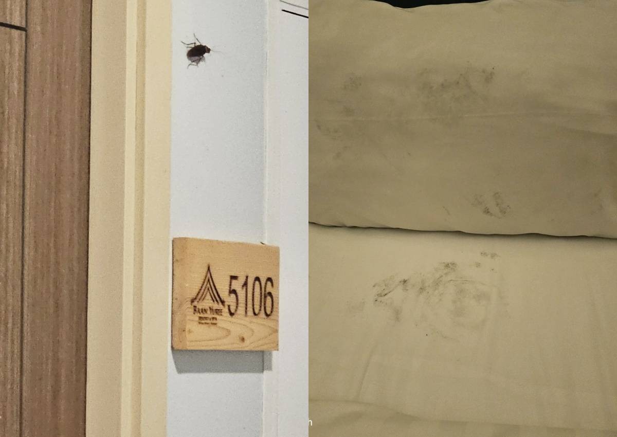 'We had to change rooms twice': Singapore traveller shocked by condition of rooms in Phuket resort
