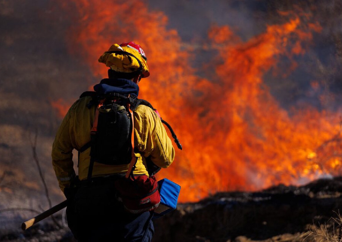 California wildfire burns 12,000 acres, forces evacuations