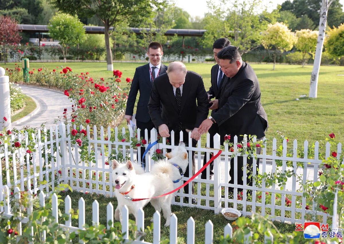 North Korea's Kim gives pair of dogs to Putin