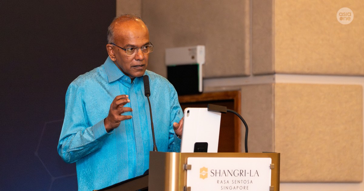 Youth can be radicalised in a matter of days with AI, Shanmugam warns