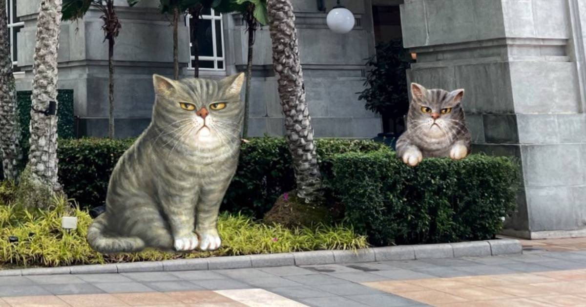 Spot installations of local artist Yip Yew Chong's iconic grumpy cat at this hotel exhibition