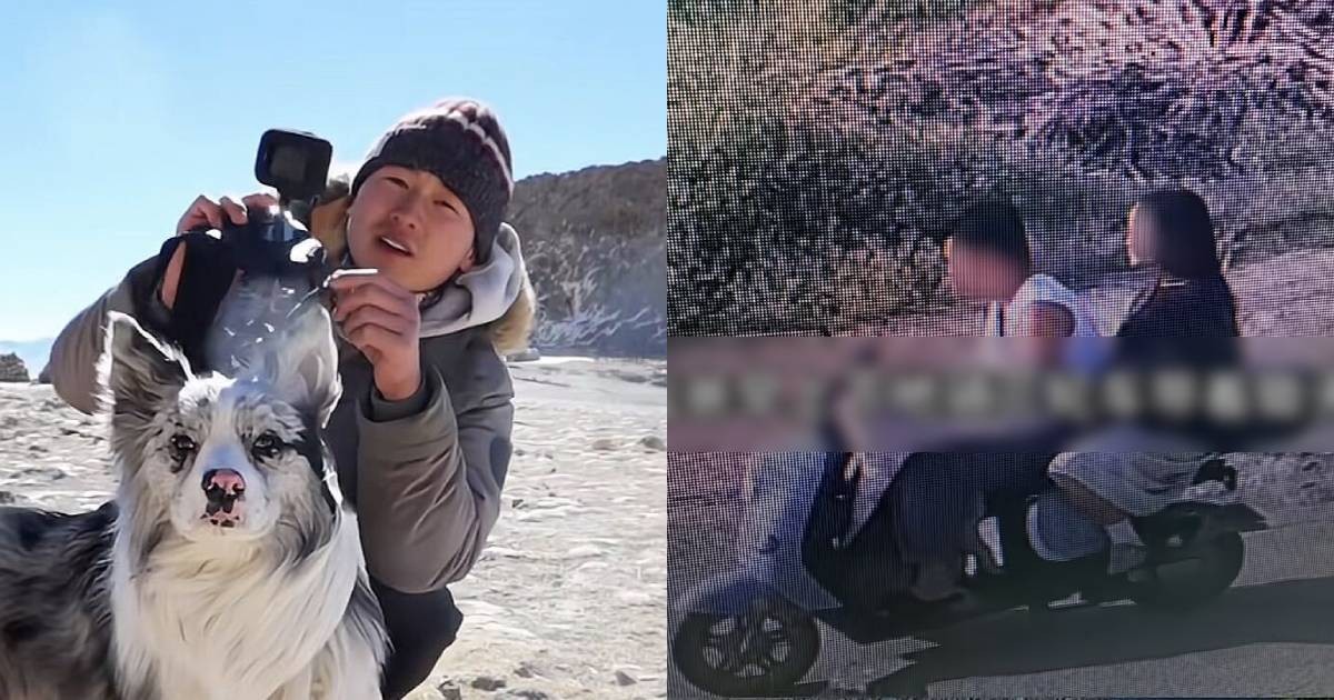 Celebrity China dog with 1.5 million followers stolen, sold to restaurant for $34 and eaten