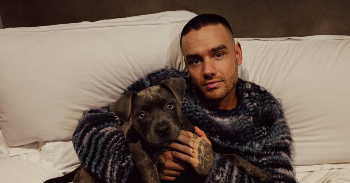 Liam Payne's son Bear set to inherit late singer's $37.4m estate 