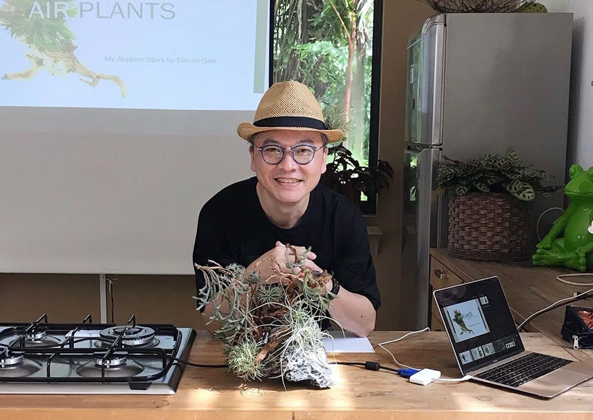 This Singaporean air plant collector makes amazing art displays that don't look like plants at all
